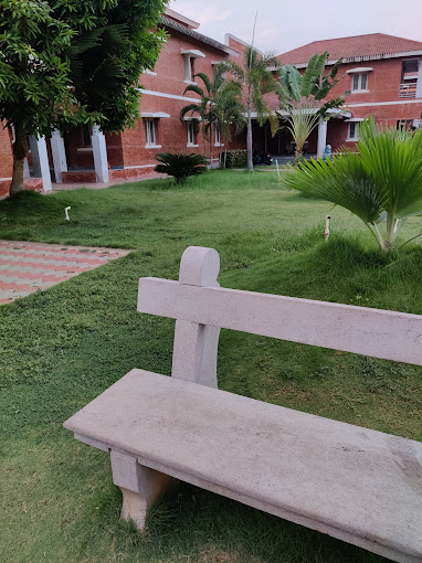 Image 13